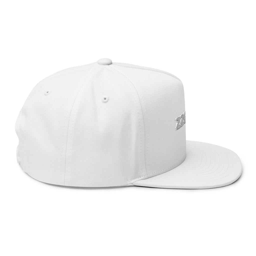 220AVG Graphic Hat