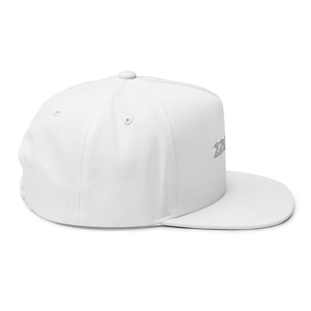 220AVG Graphic Hat