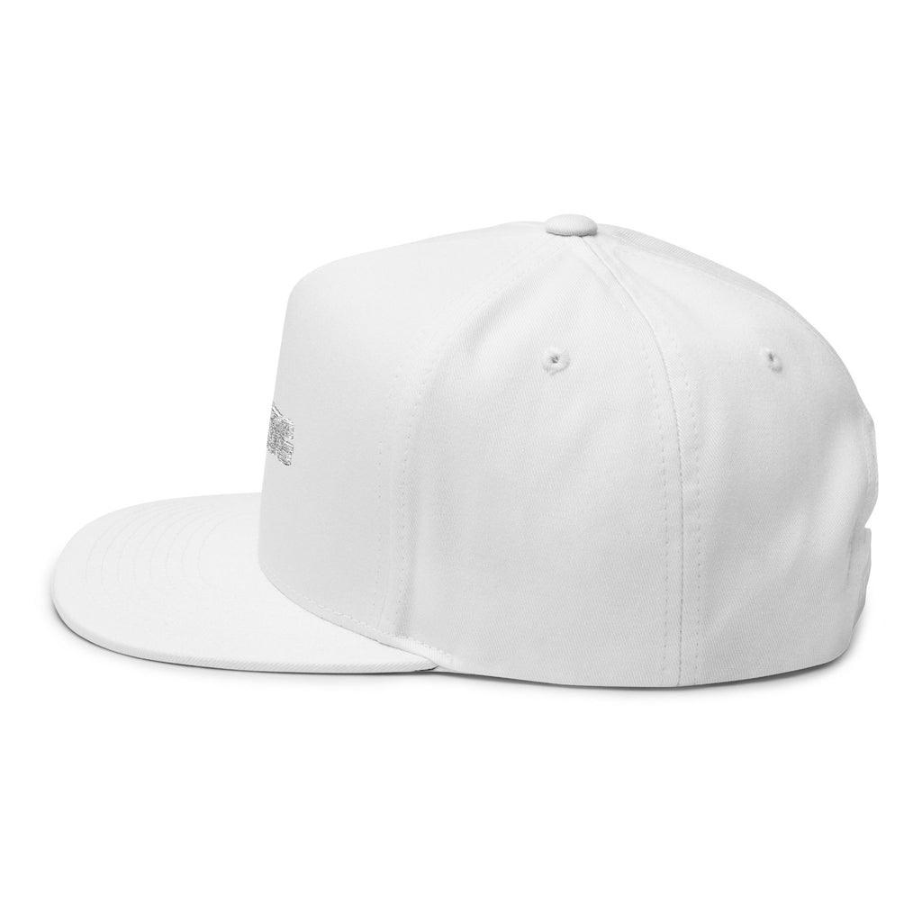 220AVG Graphic Hat