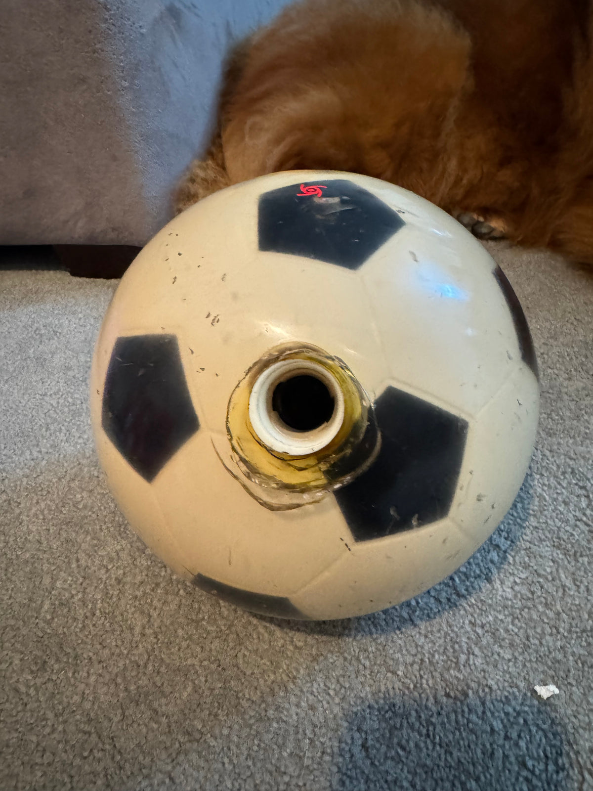 USED Storm Soccer Ball (16LB)
