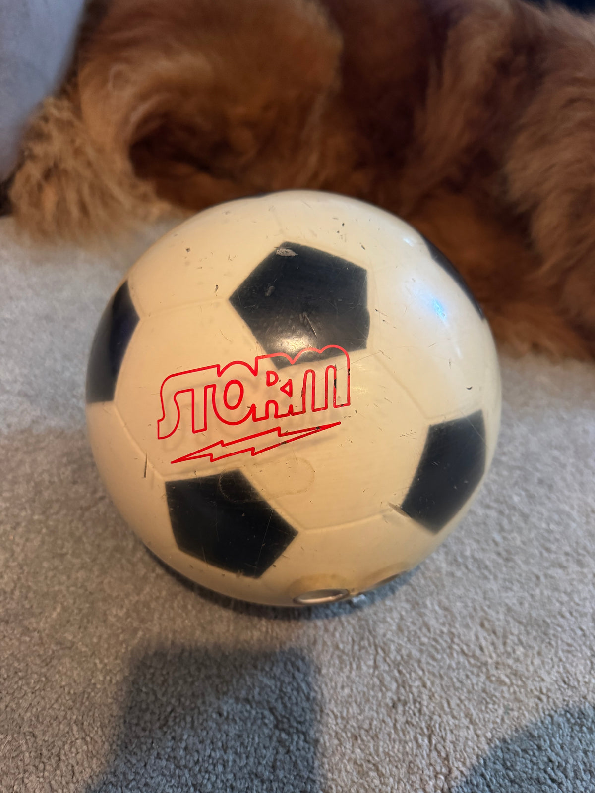 USED Storm Soccer Ball (16LB)